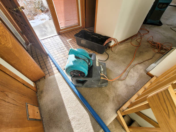 Best Water damage repair service  in Cricket, NC