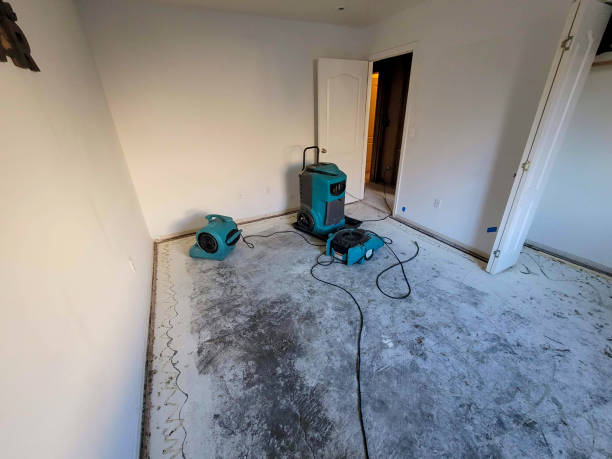 Best Basement water damage restoration  in Cricket, NC