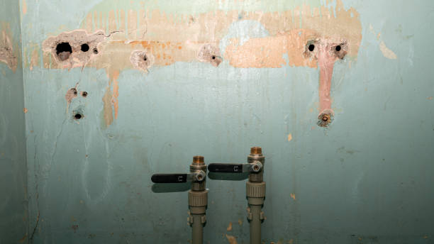 Best Emergency water damage restoration  in Cricket, NC