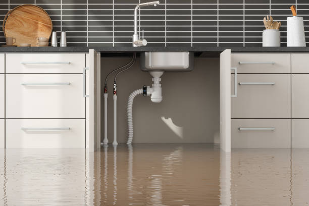 Best Basement water damage restoration  in Cricket, NC