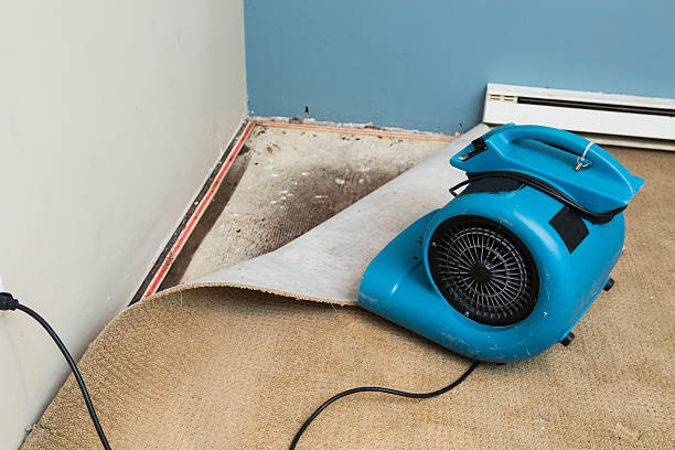 Best Professional water damage repair  in Cricket, NC